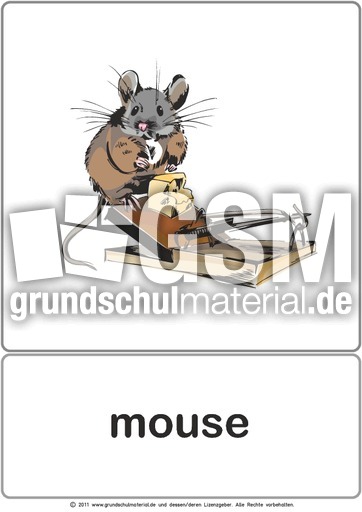 Bildkarte - mouse.pdf